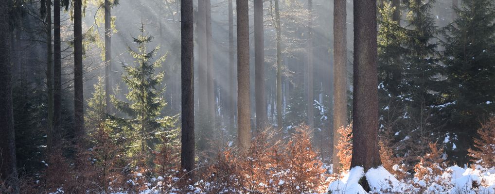 Lernort Natur im Jagdverein Hubertus