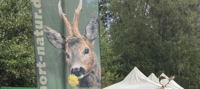 Laurentius Markt Usingen 2022. Bad Homburger und Usinger Jäger beteiligen sich als Aussteller und das Usinger Bläsercorps tritt auf.