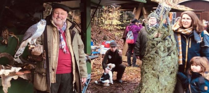 <strong>LernOrt Natur im Winterwald</strong>